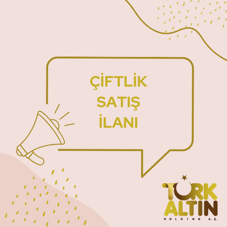 Yalı Satış İlanı